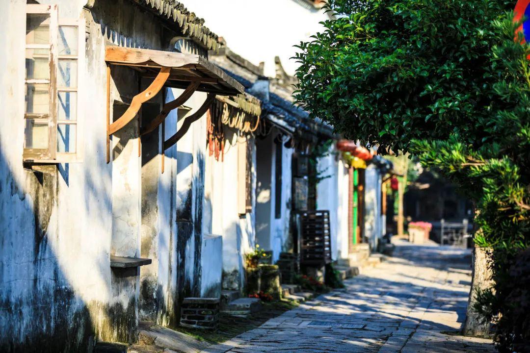 空闲农场